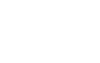 cessna logo